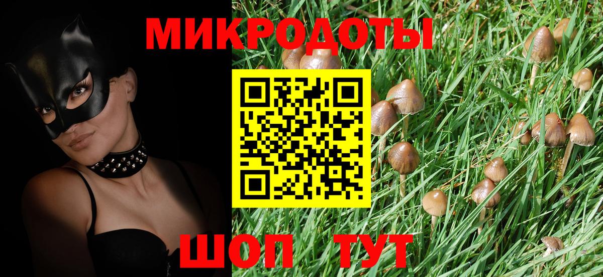 Псилоцибиновые грибы MAGIC MUSHROOMS Кудрово
